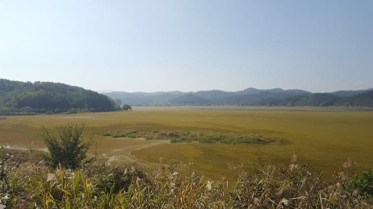 창녕 우포늪
