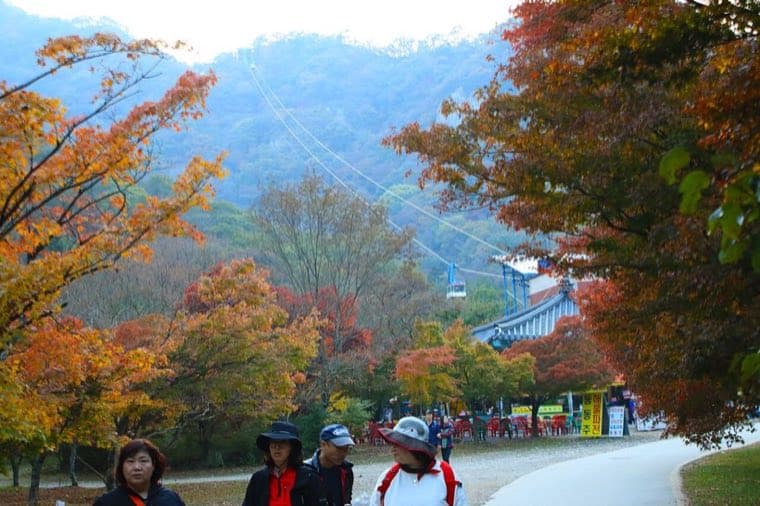 내장산
